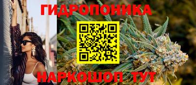 МДПВ Моздок