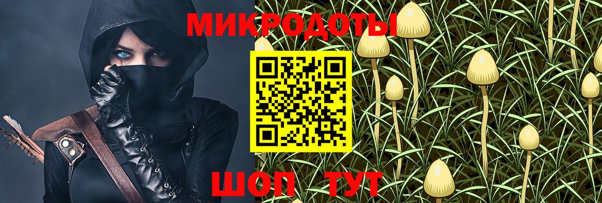 Сибай  Псилоцибиновые грибы Psilocybe  Вход с VPN 